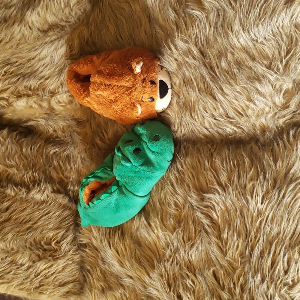 Flipazoo Slippers